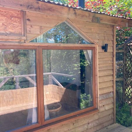 Honey Bee Cabin Llandysul Exteriér fotografie