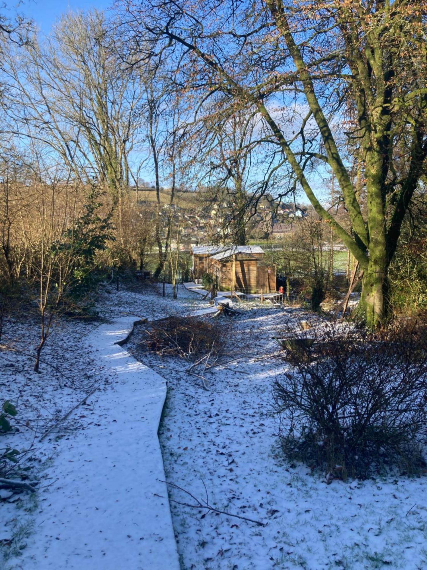 Honey Bee Cabin Llandysul Exteriér fotografie